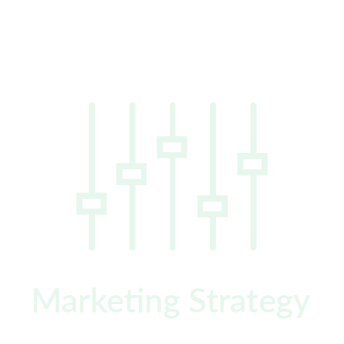 Marketing strategy icon